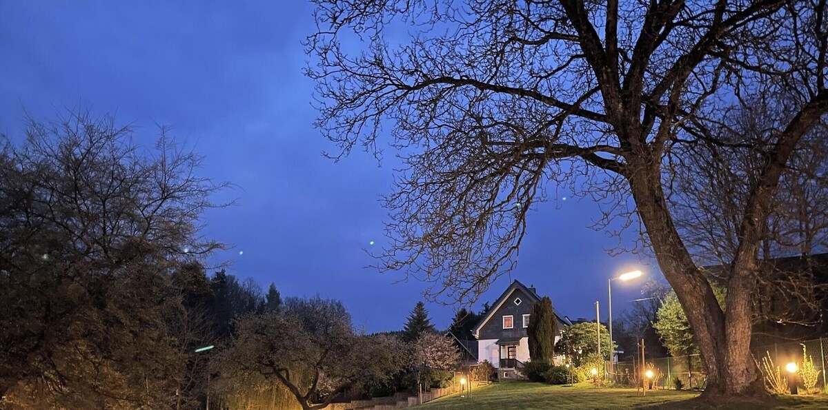 Imagen de perfil del propietario o de la propietaria