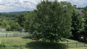 A grassy park area with a playground, a large tree, and a black metal fence.
