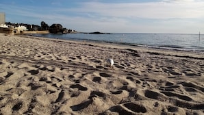 Una playa arenosa con huellas, un ave blanca y un mar tranquilo.