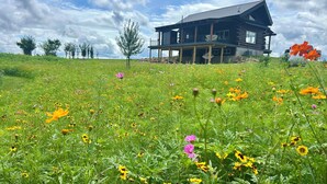 A log cabin with a balcony, surrounded by a field of wildflowers. - Secluded cabin on 75 acres 360 views cedar hot tub infrared sauna outdoor Shower (Viola)