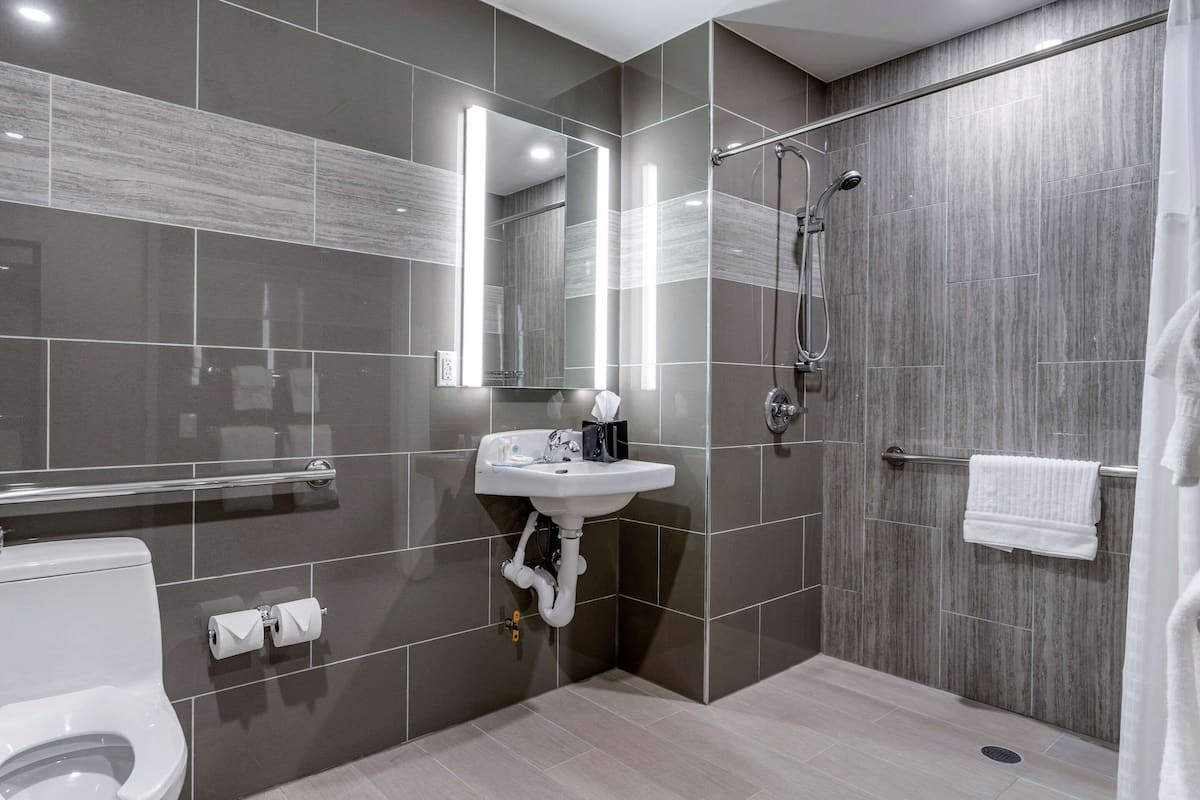 standard room, 1 king bed, accessible, non smoking (roll-in shower) | bathroom | combined shower/bathtub, hair dryer, towels