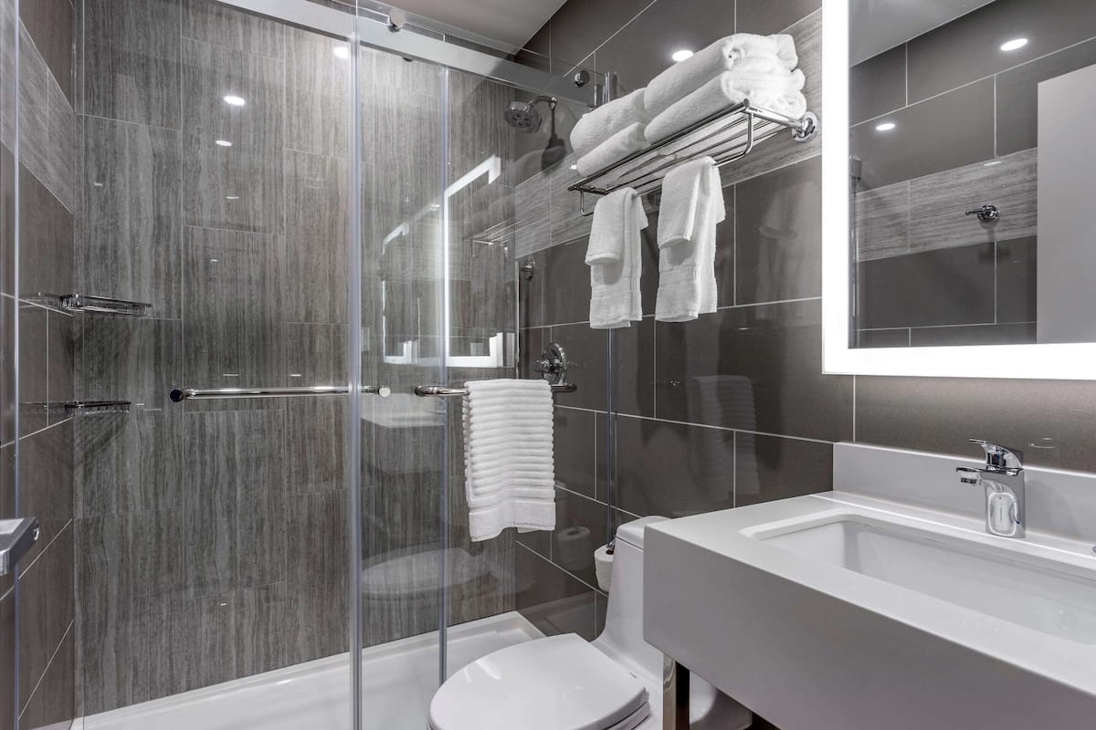 combined shower/bathtub, hair dryer, towels