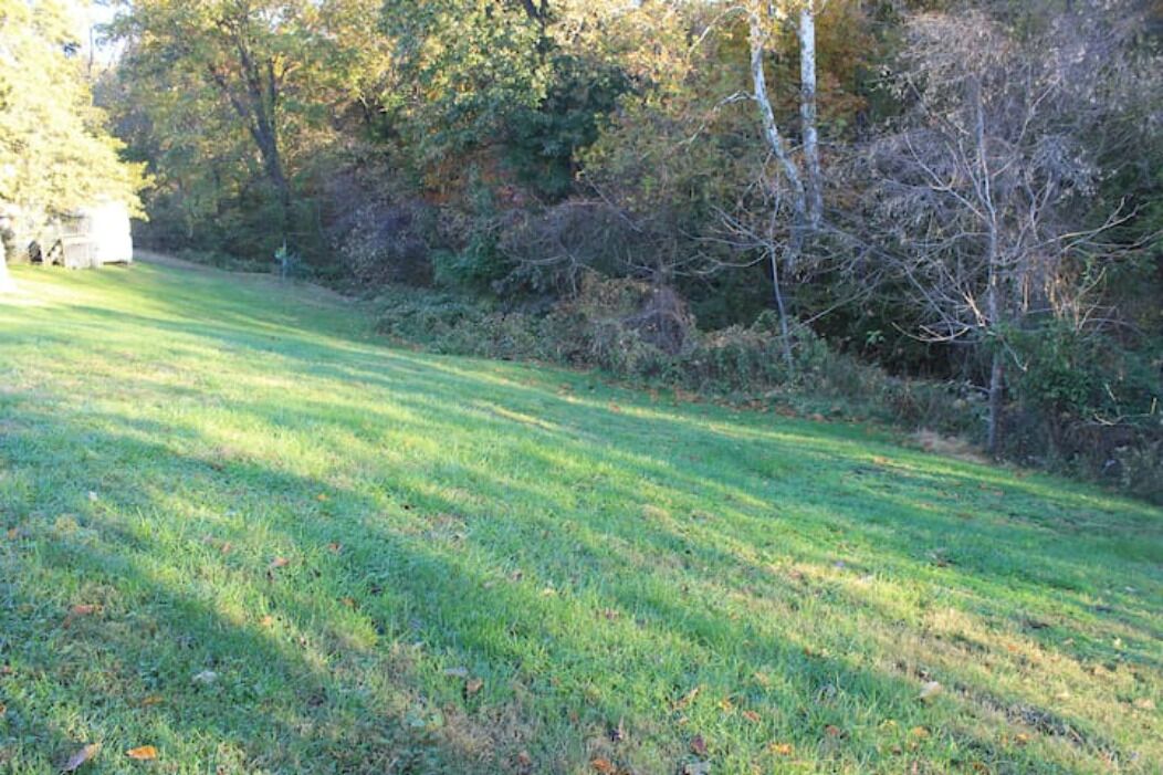 A grassy area with trees and shrubs in the background.