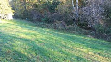 A grassy area with trees and shrubs in the background.