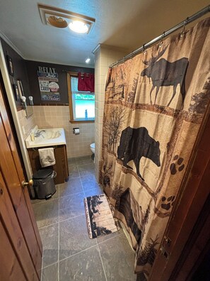 Bathtub, hair dryer, towels, soap - Lake front cabin on the Eagle River chain. Pet friendly. Pontoon for rent. (Eagle River)