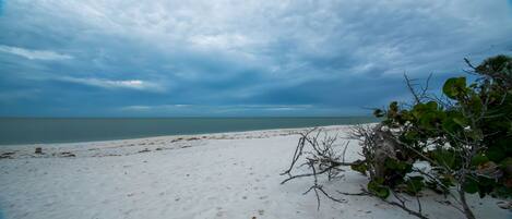 Beach nearby, sun-loungers, beach towels