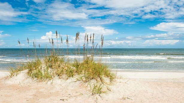 Una playa con dunas de arena y hierba en primer plano, y el océano al fondo.