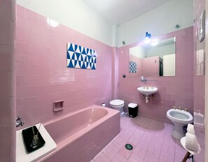 Regadera, secadora de cabello, bidet, toallas