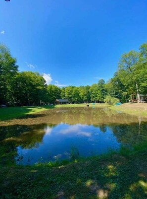 A serene pond surrounded by lush greenery and trees, with a clear blue sky above.