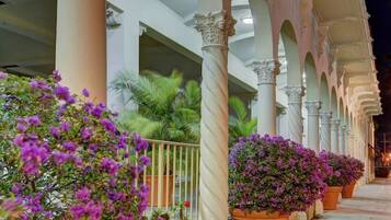 Terrain de l’hébergement