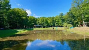 Uno stagno tranquillo circondato da vegetazione lussureggiante e alberi, con un cielo azzurro e limpido.
