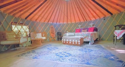 Achsah Mongolian Round Tent & Breakfast in Finger Lakes Wine Country region