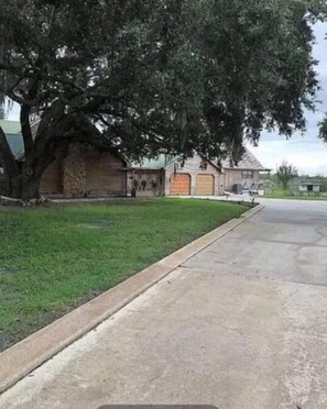 Stroll through a serene neighborhood lined with a lush lawn and a shaded tree.