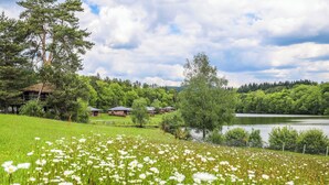 Un campo de flores blancas, un lago y casas al fondo.