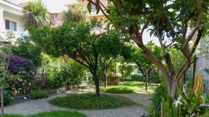 Un jardin avec un chemin de gravier, de l’herbe verte et diverses plantes.