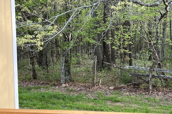 Àrea exterior de l'allotjament