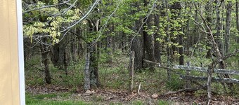 Cozy and comfortable1BR cabin on the Blue Ridge Parkway in Floyd VA.