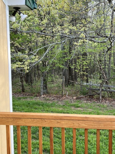 Cozy and comfortable1BR cabin on the Blue Ridge Parkway in Floyd VA.