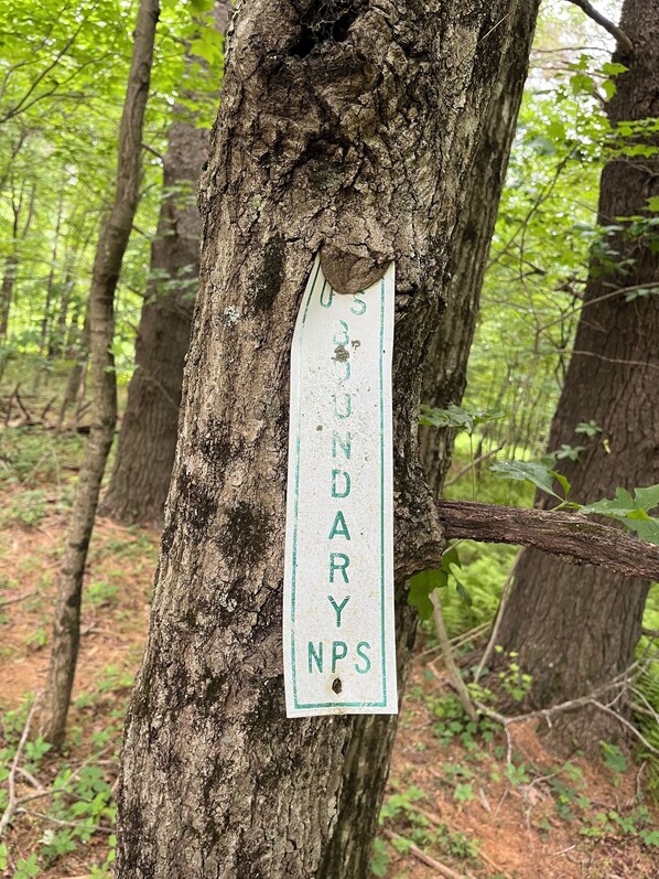 Uma placa branca com letras verdes presa a um tronco de árvore numa floresta.