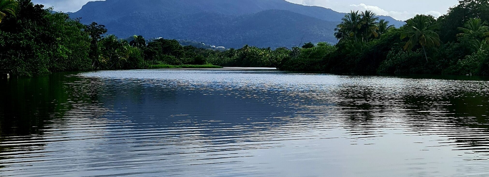 Um rio calmo com vegetação densa e montanhas ao fundo.