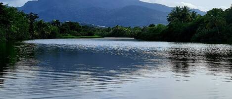 Un río tranquilo con vegetación densa y montañas al fondo.