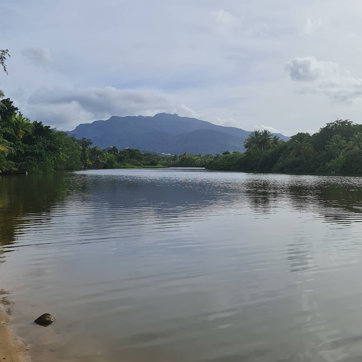 A calm river with a mountain in the background and dense greenery on the banks.