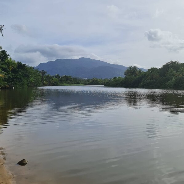 A calm river with a mountain in the background and dense greenery on the banks. - 3 Luquillo Beach 2/B Apartment with Swimming Pool (Luquillo)