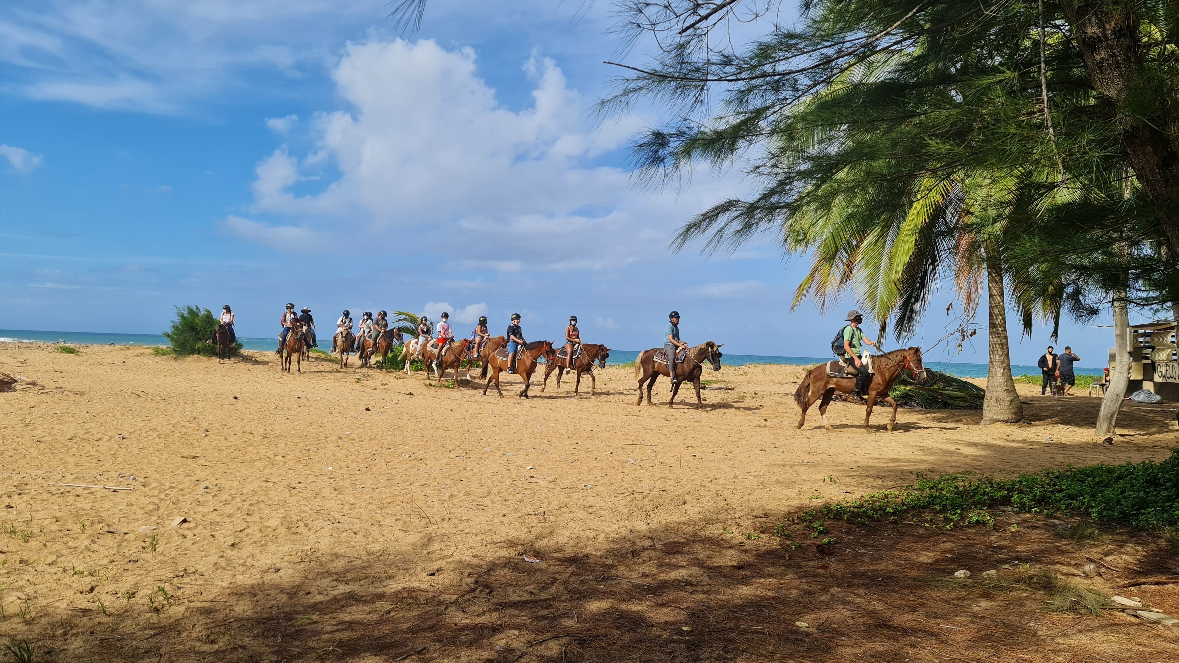 A beach with people riding horses.
