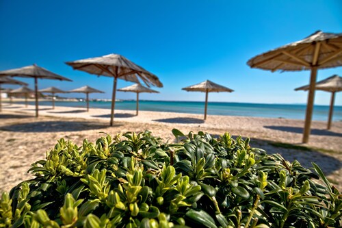 Seaside Studio Basic 4 w/ Terrace, Vir, Croatia
