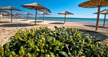 Seaside Studio Basic 4 w/ Terrace, Vir, Croatia