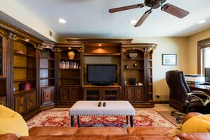 Smart TV, fireplace, books, stereo