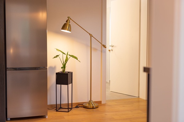 Apartment Lohstampfe