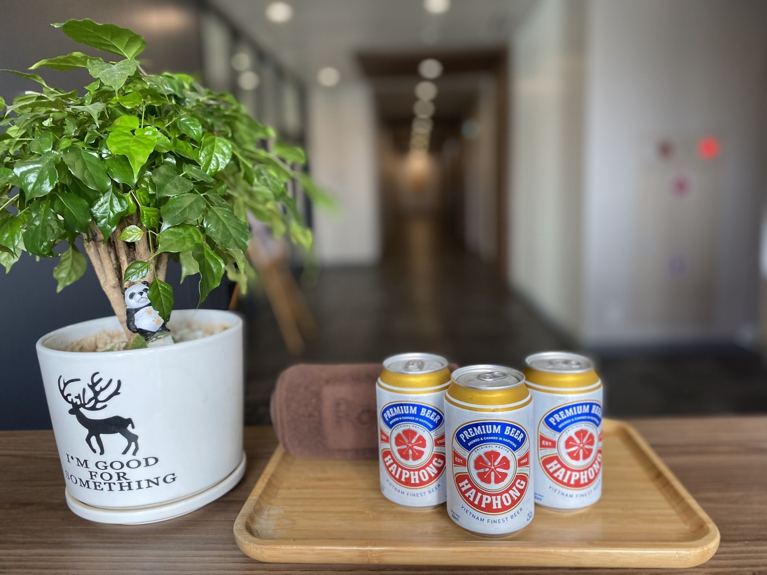 A potted plant with a deer silhouette and the text "I'M GOOD FOR SOMETHING" on a white pot, placed on a wooden tray with three cans of Haiphong beer.