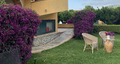 Villa nestled in a beautiful citrus grove