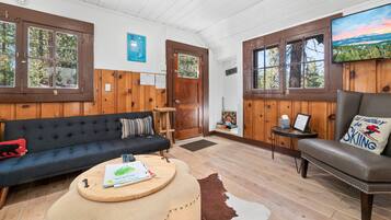 Smart TV, chimenea y reproductor de DVD