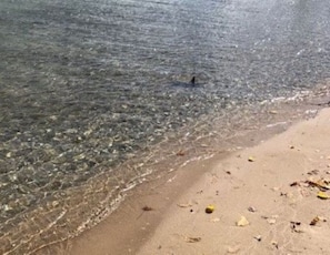 A beach with clear shallow water and a sandy shore.