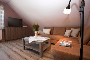 Fernseher