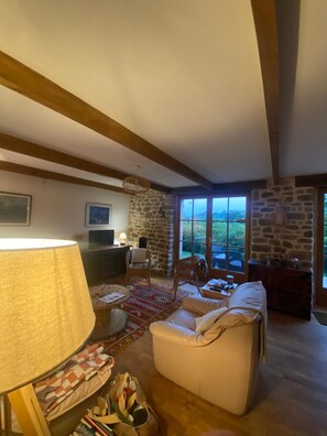 Televisión, chimenea y libros