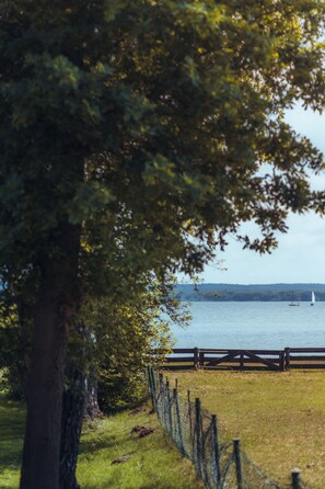 Imagen sin descripción, 4 de 41, botón