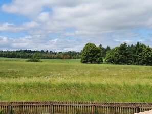 Unclassified image, 5 of 22, button