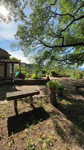 Ein rustikaler Außenbereich mit einer Steinsitzbank, Topfpflanzen und einer Pergola.