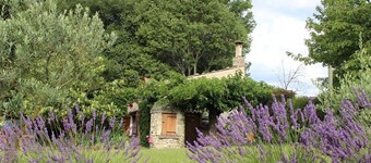 1 bedroom private vacation home in mane