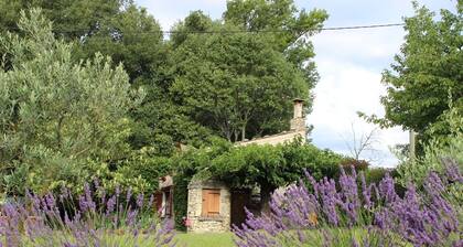 Cabanon Provençale