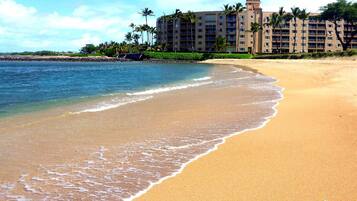 On the beach, sun loungers, beach towels