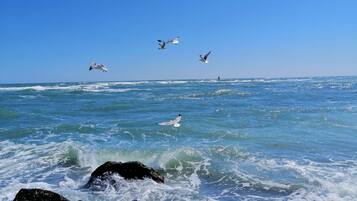 Ranta lähistöllä, valkoista hiekkaa, aurinkotuoleja, aurinkovarjoja