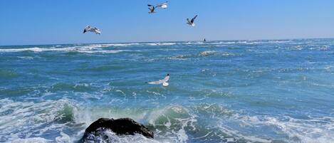 Beach nearby, white sand, sun loungers, beach umbrellas