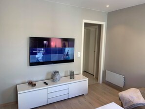 65-inch LED TV with cable channels, TV, Netflix