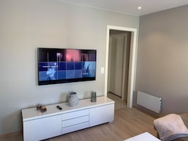 TelevisiĂłn LED, Netflix, servicios de streaming