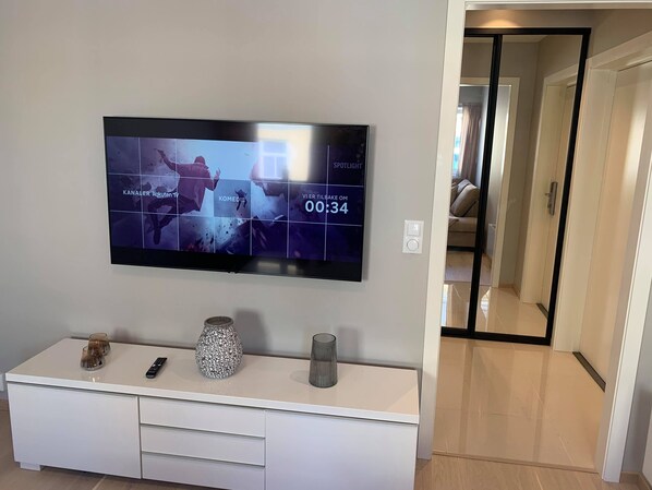 65-inch LED TV with cable channels, TV, Netflix