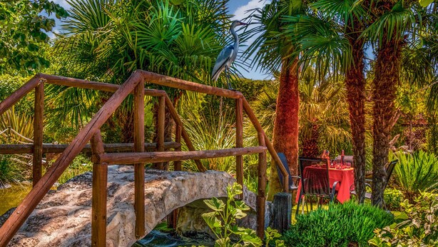 A wooden bridge over a small water feature, surrounded by lush tropical vegetation and a dining area with red tablecloths. - Casa el Altico, Lujosa Casa Rural con Unas Vistas Increíbles en Plena Naturaleza (Cehegín)